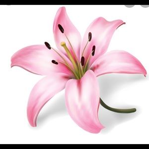 Meet your Posher, Metta